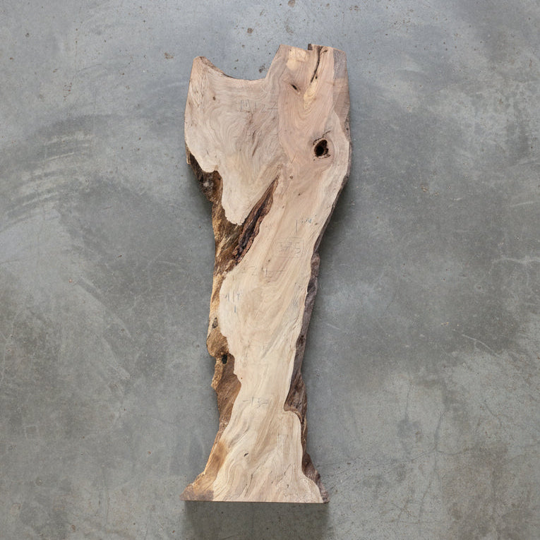 Large wooden sculpture of a whale in a workshop setting