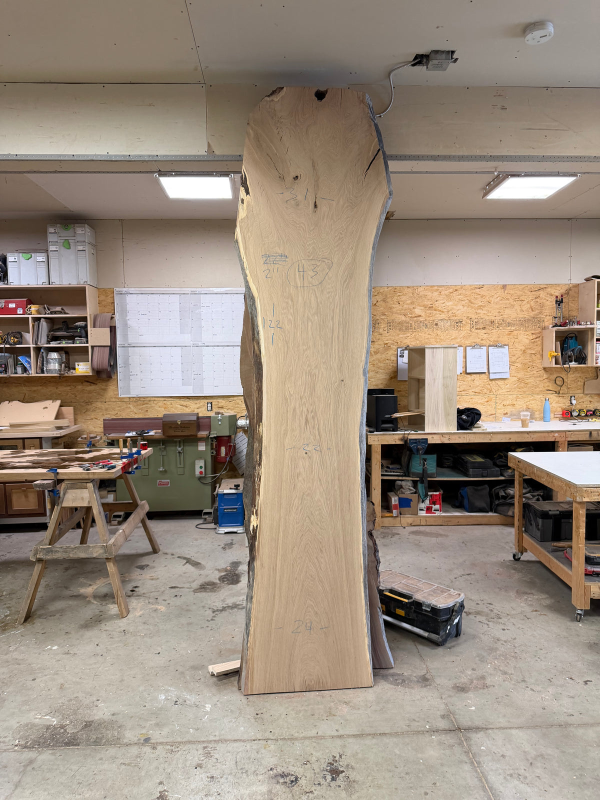 White Oak Slab WO051