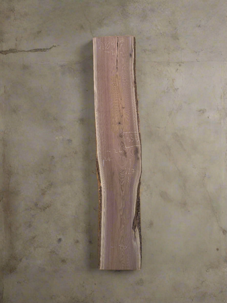 Walnut Slab W097