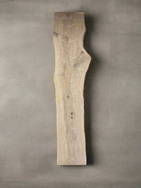 Ash Slab A013 - Crown Point Wood Co. view 1