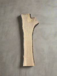 Ash Slab A020 - Crown Point Wood Co. view 1