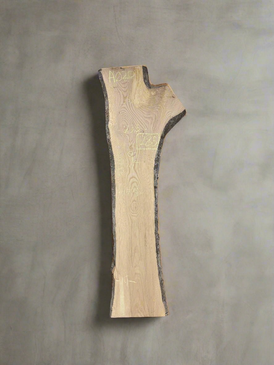 Ash Slab A020 - Crown Point Wood Co.