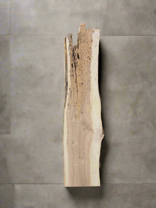 Ash Slab A028 - Crown Point Wood Co.