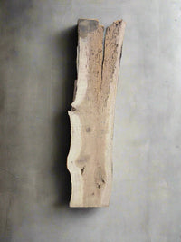 Ash Slab A123 - Crown Point Wood Co. view 1