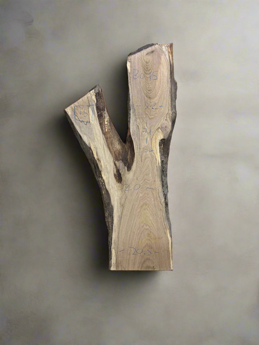 Butternut Slab B015 - Crown Point Wood Co.