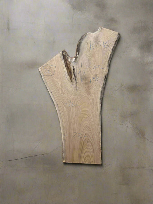 Butternut Slab B016 - Crown Point Wood Co.