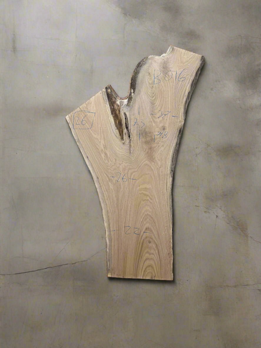 Butternut Slab B016 - Crown Point Wood Co.