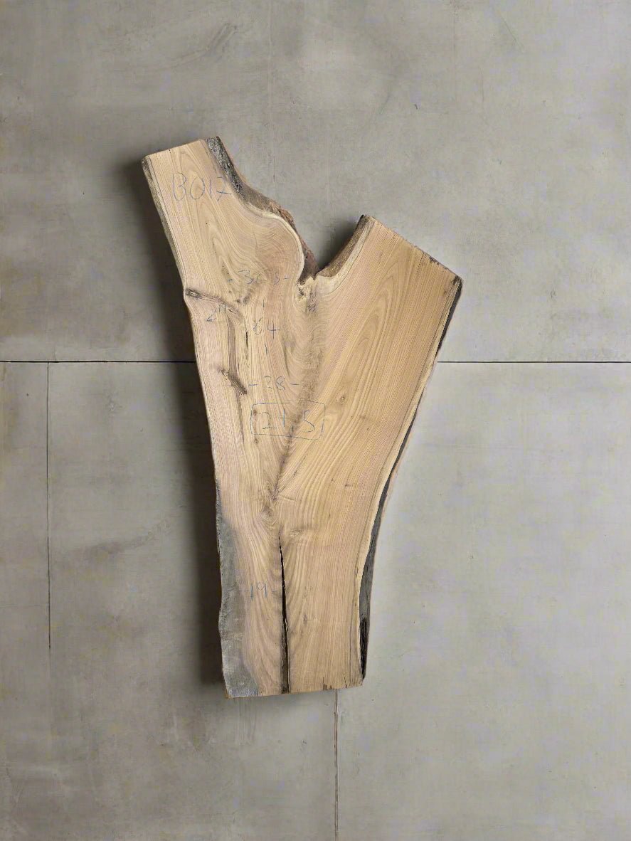 Butternut Slab B017 - Crown Point Wood Co.