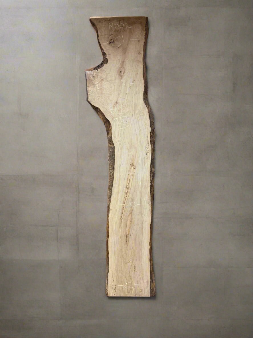 Maple Slab M002 - Crown Point Wood Co.