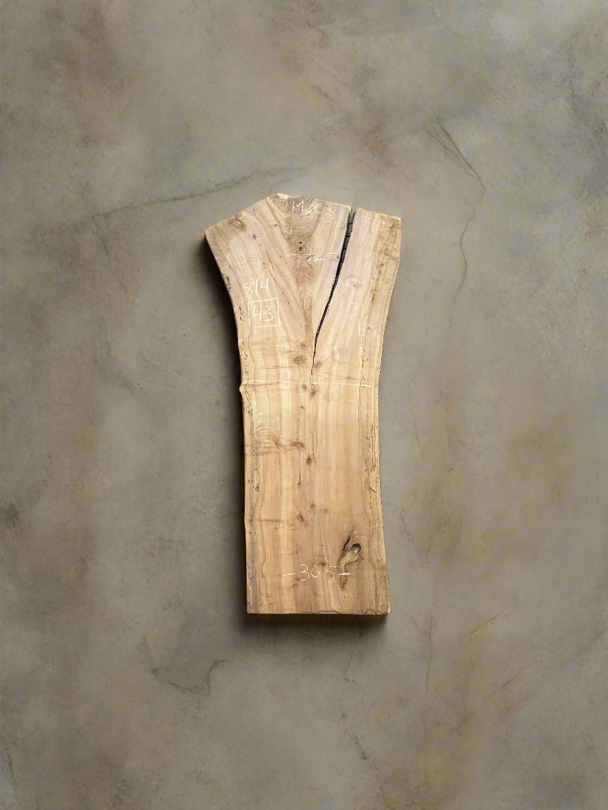 Maple Slab M008 - Crown Point Wood Co.