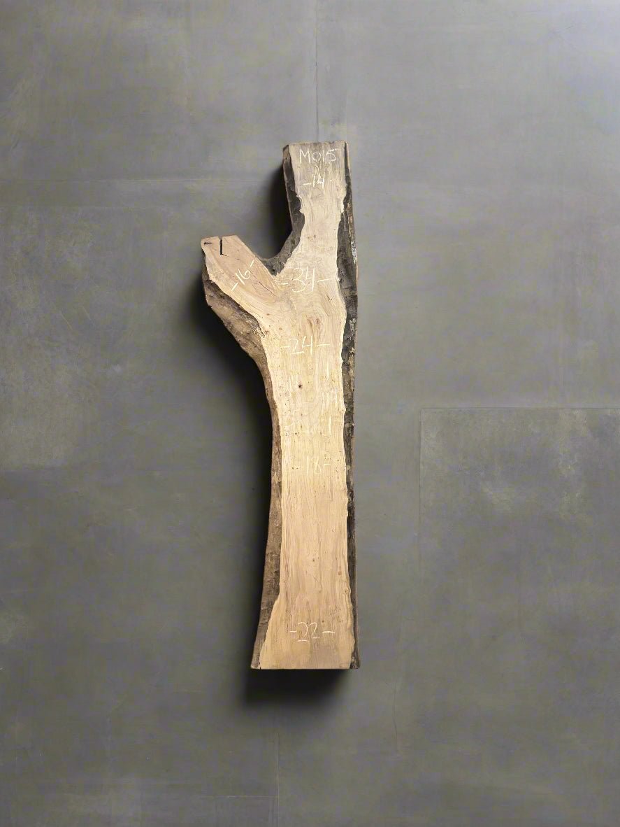 Maple Slab M015 - Crown Point Wood Co.