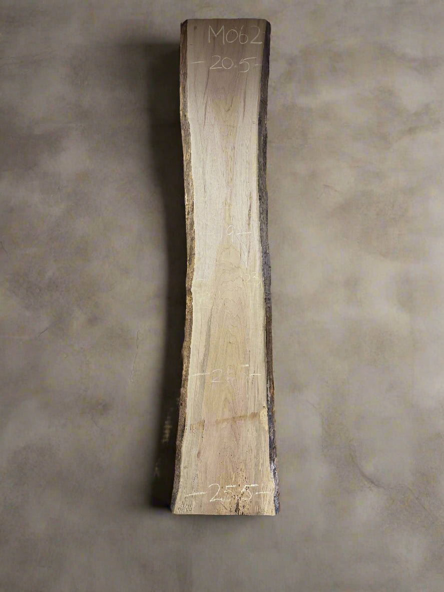 Maple Slab M062 - Crown Point Wood Co.