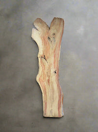Maple Slab M098 - Crown Point Wood Co. view 1