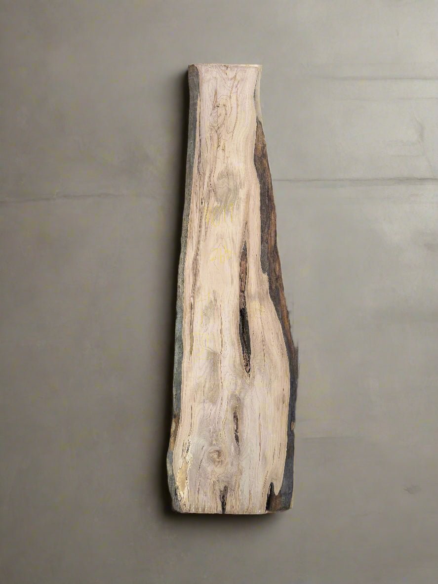Maple Slab M099 - Crown Point Wood Co.