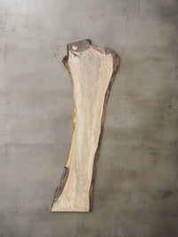 Maple Slab M116 - Crown Point Wood Co. view 1