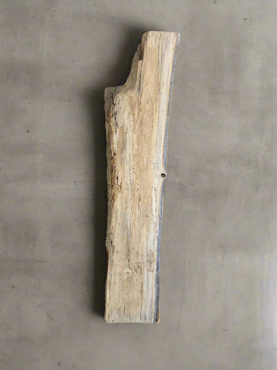 Poplar Slab P003