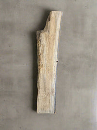 Poplar Slab P003 - Crown Point Wood Co.