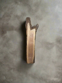 Walnut Slab W024 - Crown Point Wood Co. view 1