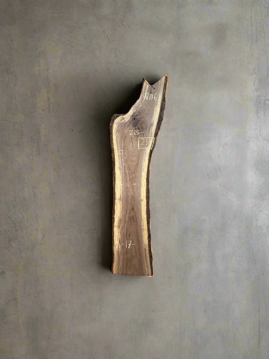 Walnut Slab W061 - Crown Point Wood Co.