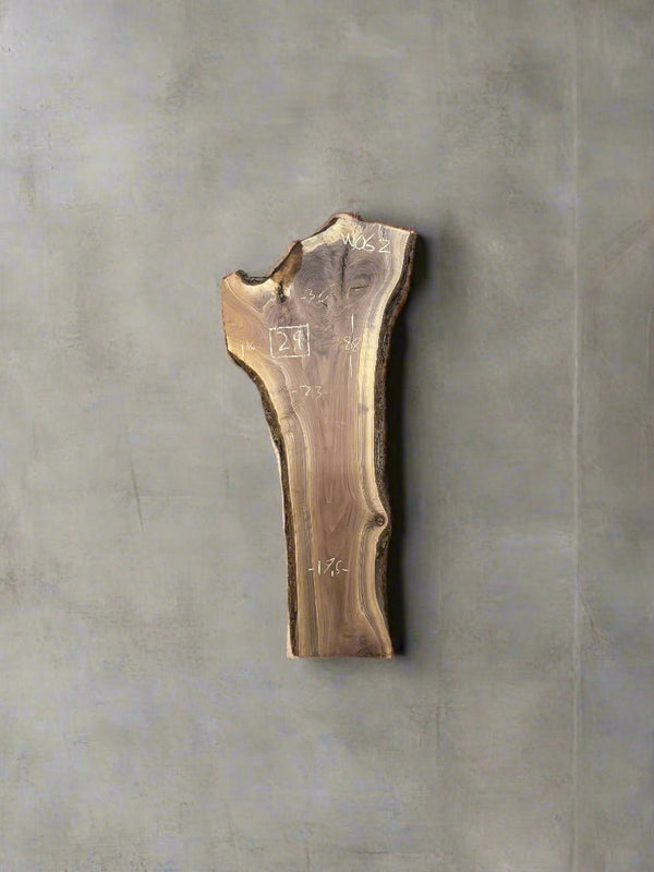 Walnut Slab W062