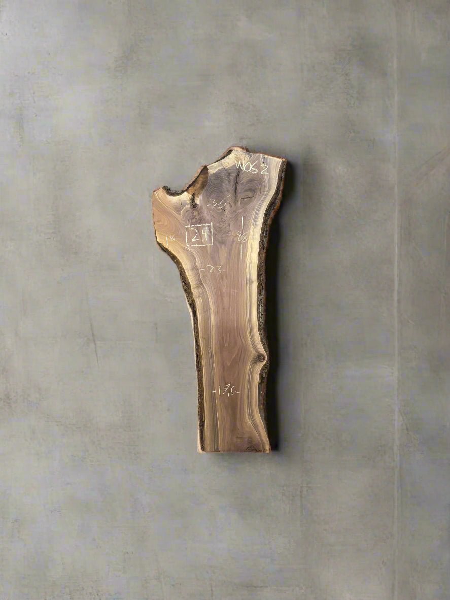 Walnut Slab W062 - Crown Point Wood Co.