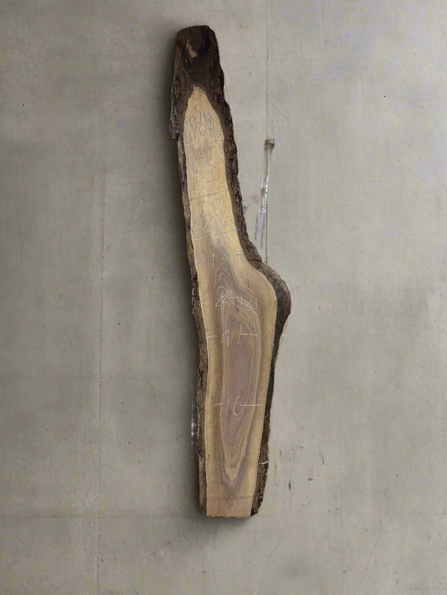Walnut Slab W090 - Crown Point Wood Co.
