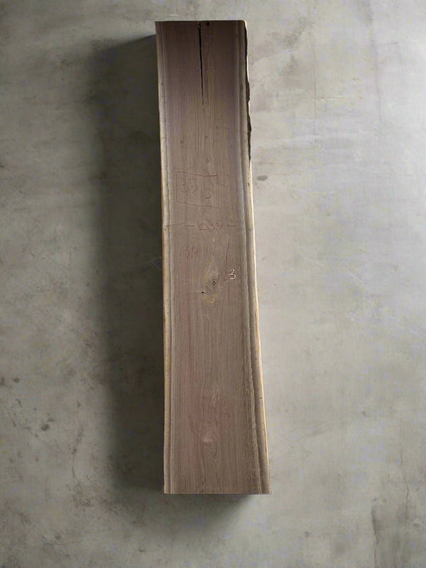 Walnut Slab W095
