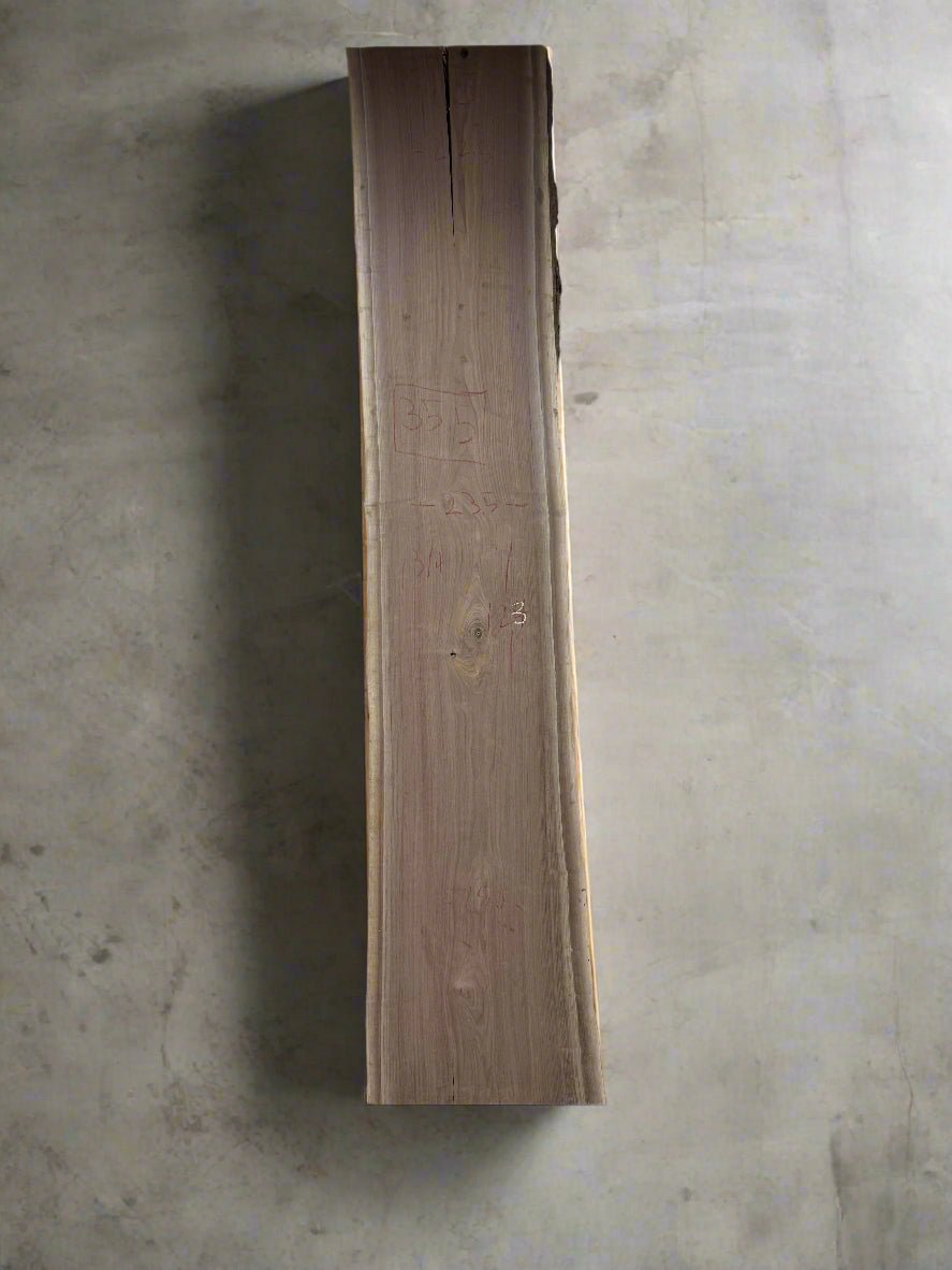Walnut Slab W095 - Crown Point Wood Co.