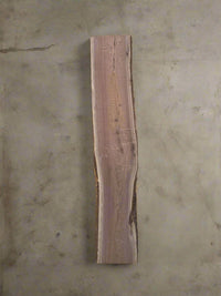 Walnut Slab W097 - Crown Point Wood Co. view 1