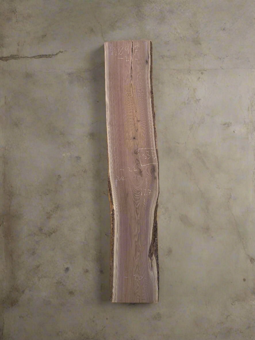 Walnut Slab W097 - Crown Point Wood Co.