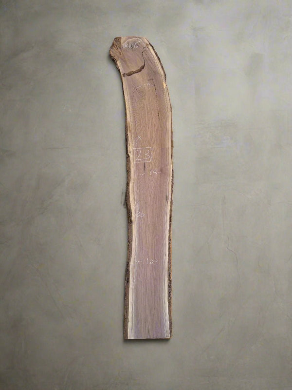 Walnut Slab W106