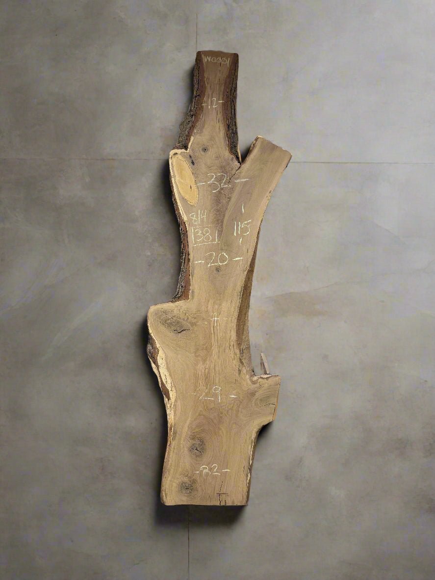 White Oak Slab WO001 - Crown Point Wood Co.