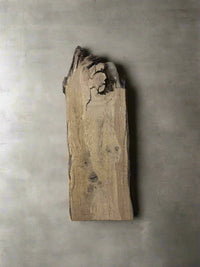 White Oak Slab WO038 - Crown Point Wood Co. view 1